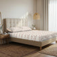 Fresh Bloom Blush Beige Cotton Bedsheet with Pillow Cover (King Size)