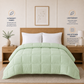 Solid Sage Microfiber Comforter – 220 GSM All-Season AC Comforter & Blanket