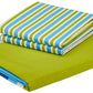 Blue & Green Striped Queen Flat Bedsheet with 2 Pillow Covers